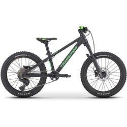 Santa cruz kids bike on sale