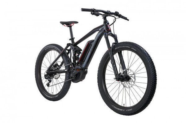 raleigh kodiak ie emtb