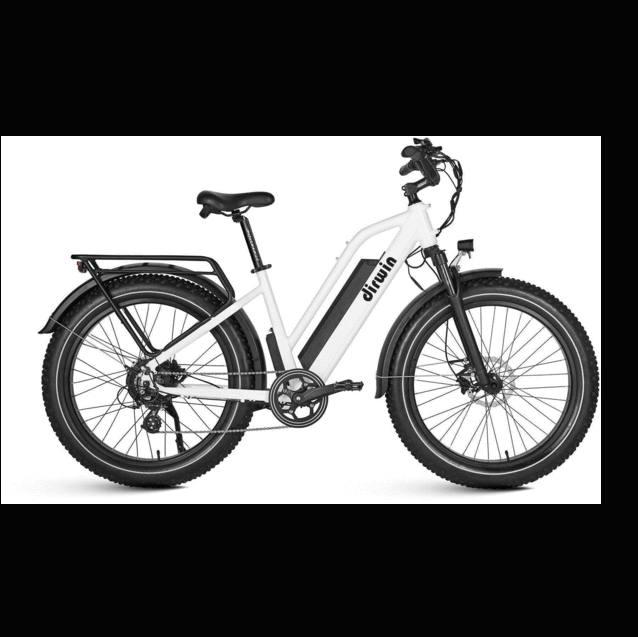 Dirwin Seeker Step Through - Eugene Electric Bicycles | Eugene, OR