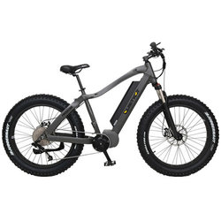 emini fatbike