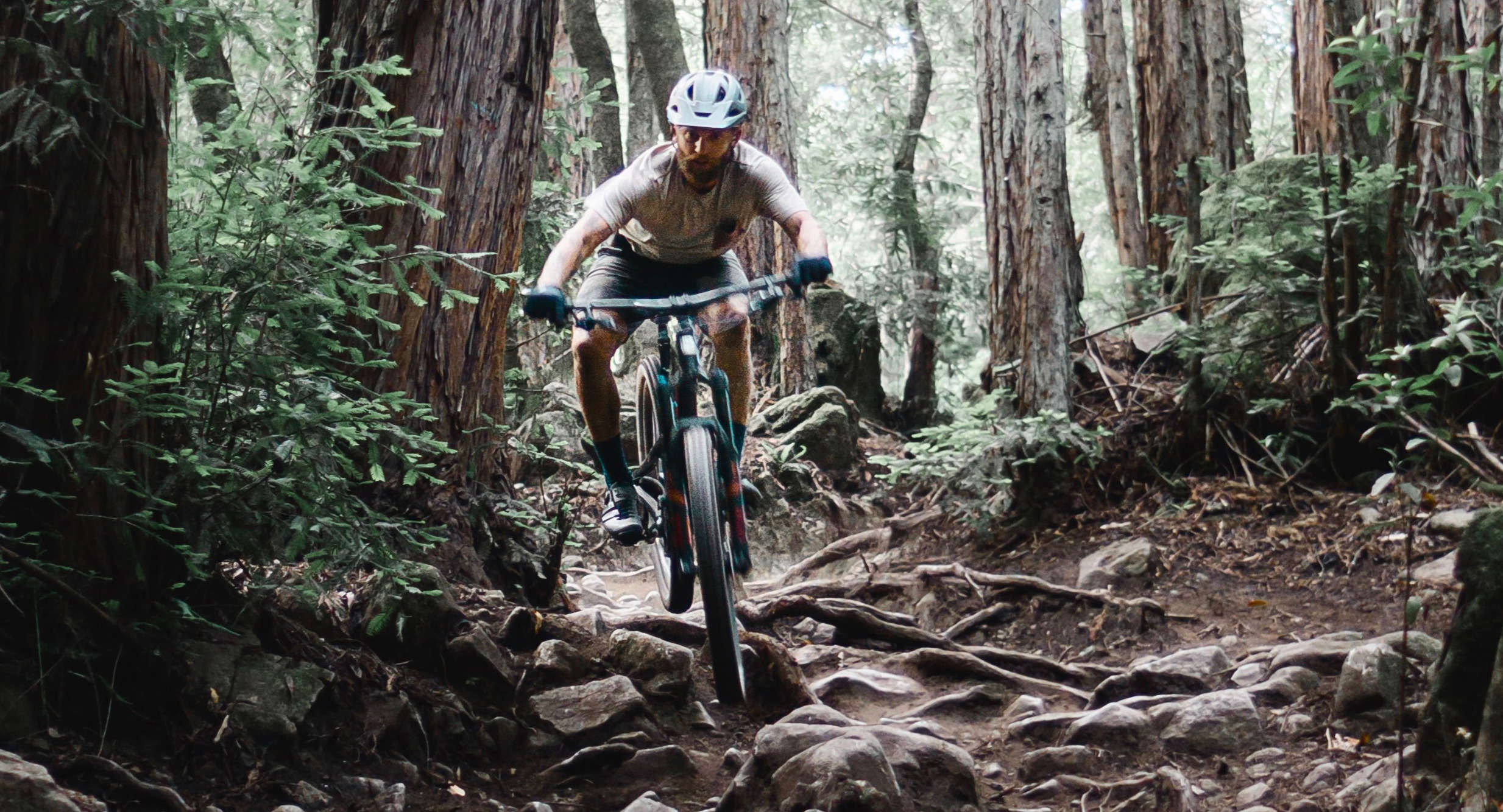 santa cruz bike shop near me