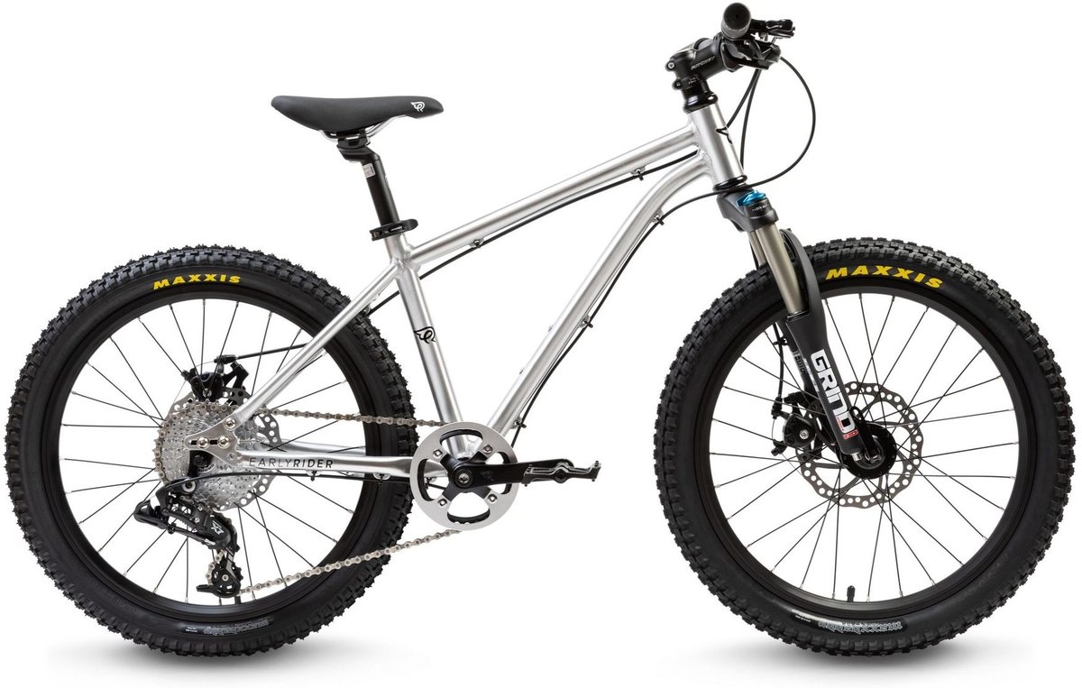 early rider hellion trail hardtail