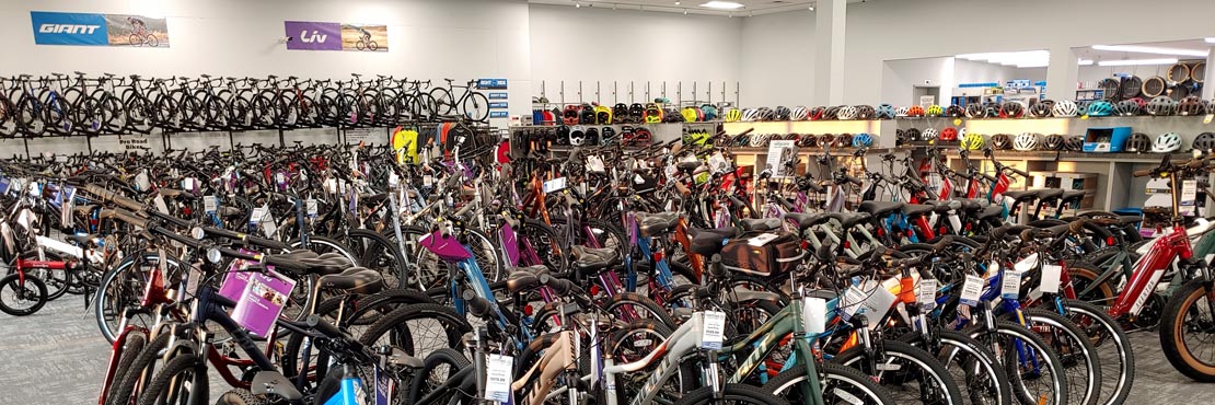 Store Highlights: Selection, Bike Seat Tester Martins Bike Shop ... - 20220701 061111