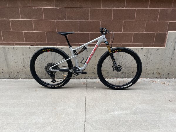 Used santa cruz blur sale