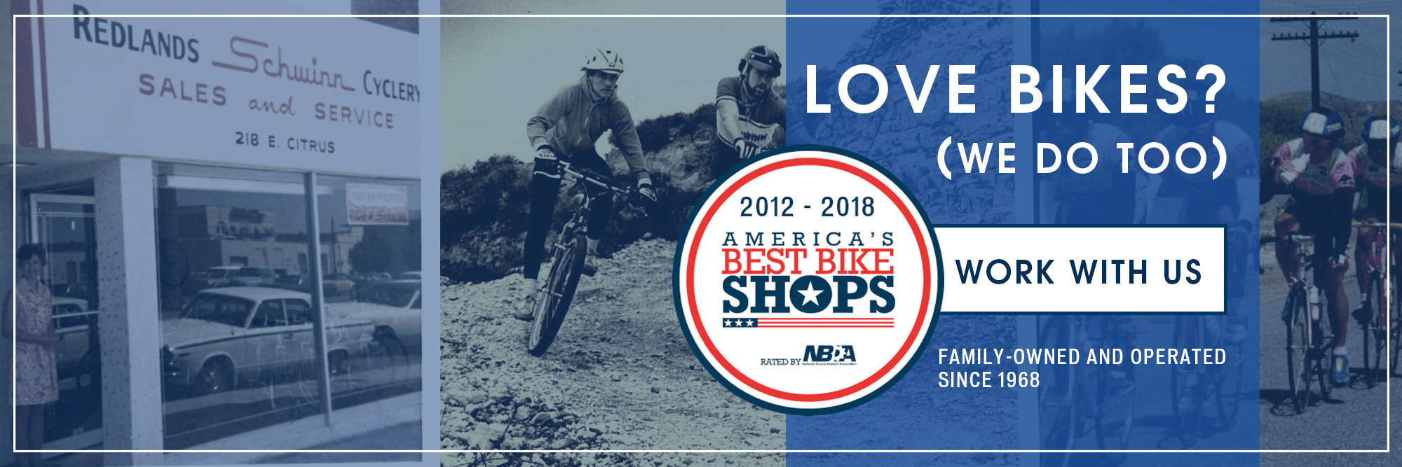 stores that sell mountain bikes