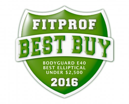 Best Buy: The Bodyguard [2016]