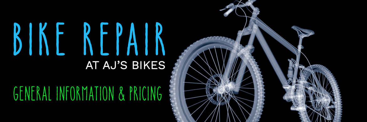 bike tune up price