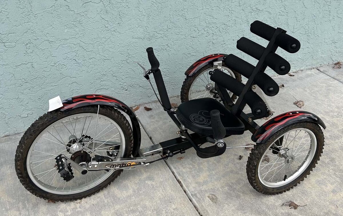 Previously Enjoyed Bikes Used Mobo Recumbent Bike - LoweRiders ...