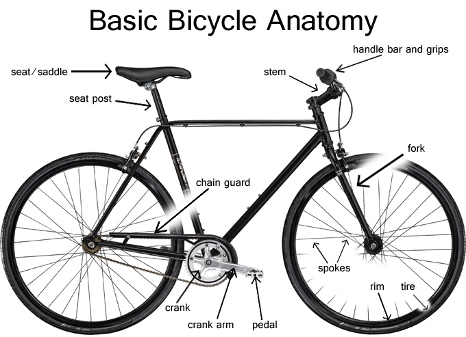 a bicycle