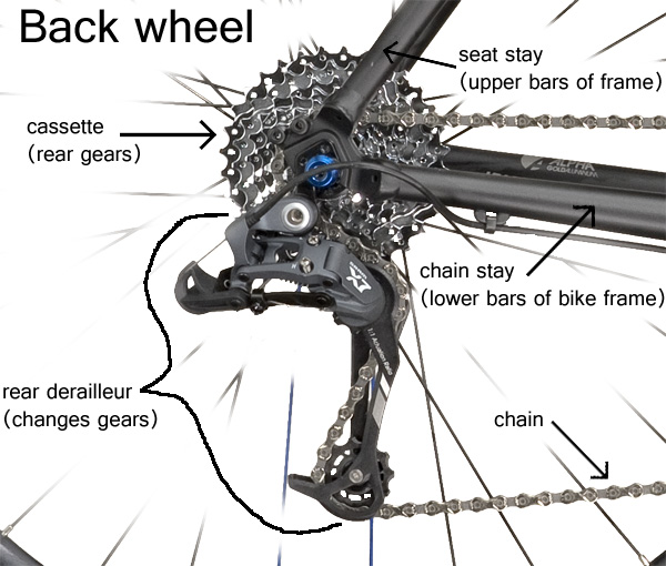 gear cycle with back seat