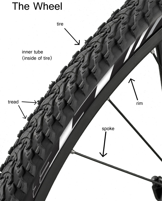 bike wheel parts names