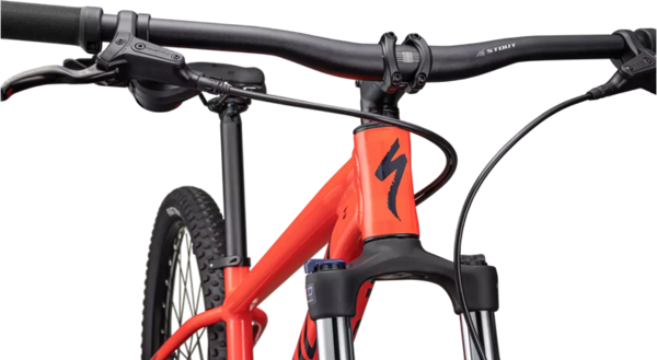 Specialized rockhopper large online